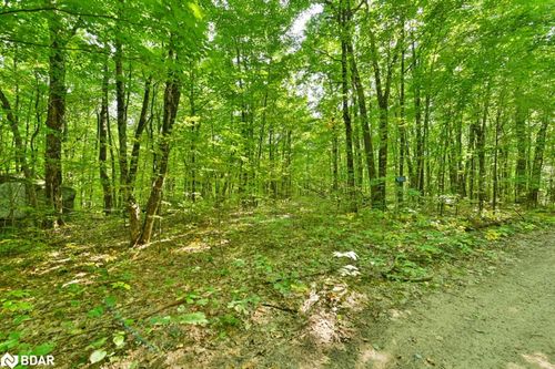 1083 Lindey Lane, Cloyne, ON, K0H1K0 | Card Image