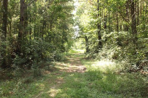 TBD 10th St, Shepherd, TX, 77371 | Card Image