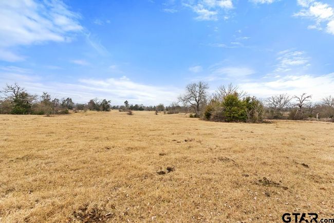 15037 State Highway 110, Home with 0 bedrooms, 0 bathrooms and null parking in Van TX | Image 46