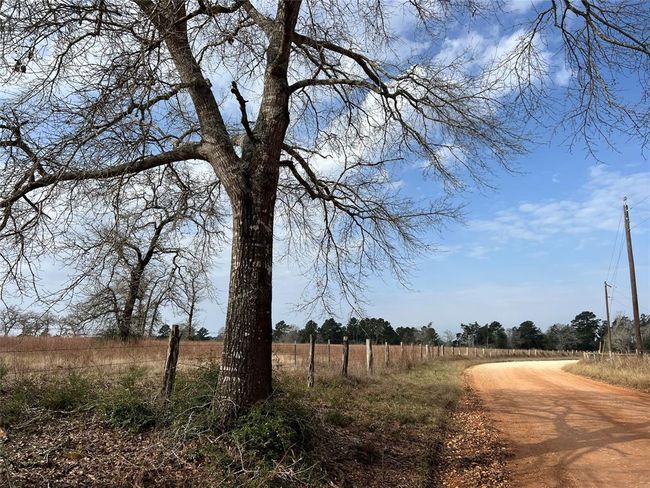 14075 Hall Rd, Home with 4 bedrooms, 3 bathrooms and null parking in Cat Spring TX | Image 8