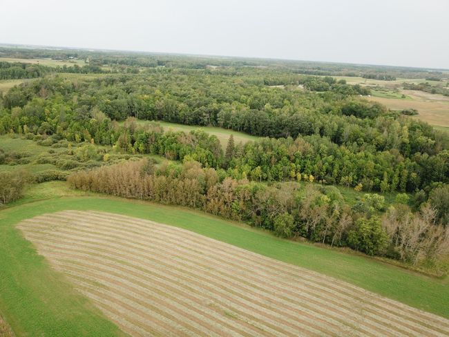 DJI_0109.JPG | Image 15
