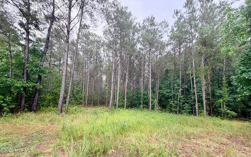 Tract F Us Highway 421, Currie, NC, 28435 | Card Image