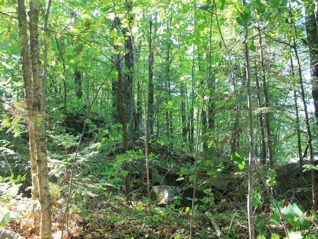 Lot 35 N Alpine Dr, Home with 0 bedrooms, 0 bathrooms and null parking in Upson WI | Image 22