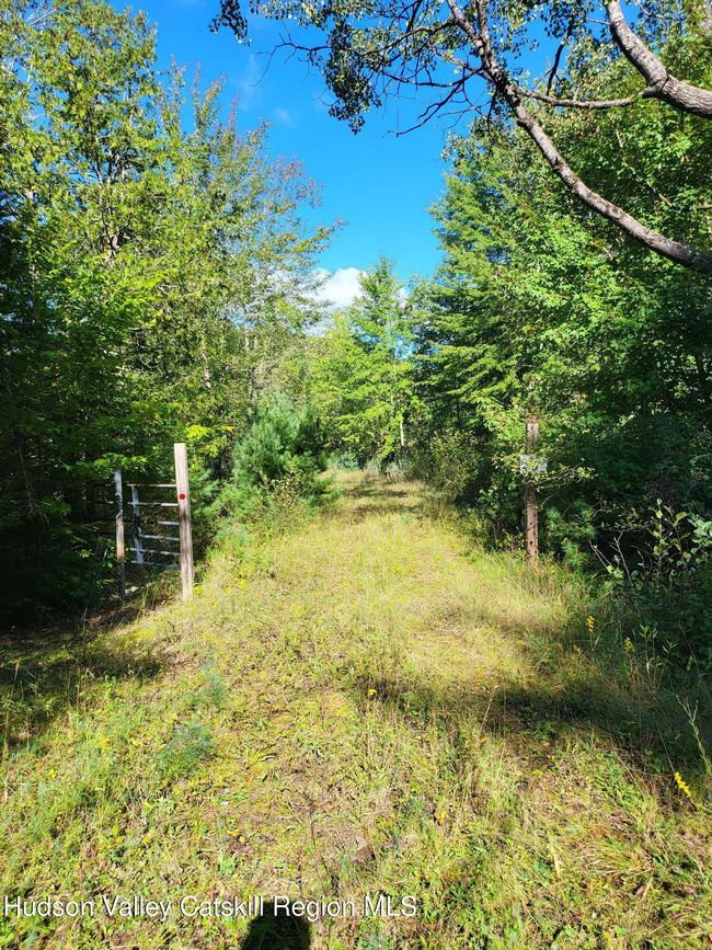 64109119 Peninsula Rd, Home with 0 bedrooms, 0 bathrooms and null parking in Pottersville NY | Image 7