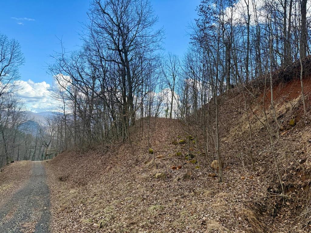 Land in Franklin 3