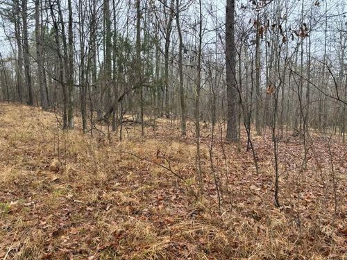 0 HIGHWAY 193 Null 64, Oakland, TN, 38028 | Card Image