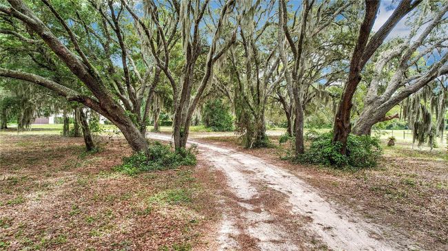 4814 Griffin View Dr, House other with 3 bedrooms, 3 bathrooms and null parking in LADY LAKE FL | Image 69