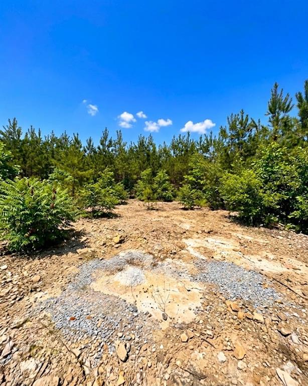 Land in Broken Bow