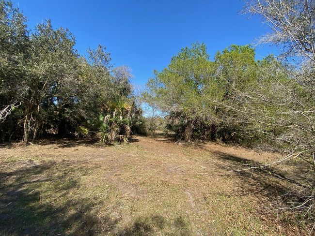 15936 306 Th St, Home with 0 bedrooms, 0 bathrooms and null parking in Okeechobee FL | Image 12