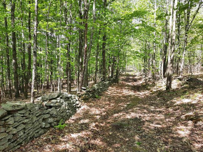 14 - 1214 Armstrong Rd, House other with 7 bedrooms, 4 bathrooms and null parking in Arkville NY | Image 30
