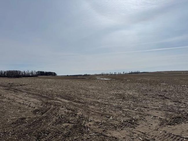 0000 County Road 61, Home with 0 bedrooms, 0 bathrooms and null parking in Browerville MN | Image 21
