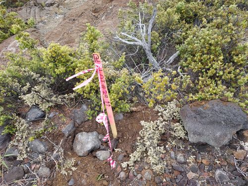 92-2731 Ohia Dr, OCEAN VIEW, HI, 96737 | Card Image