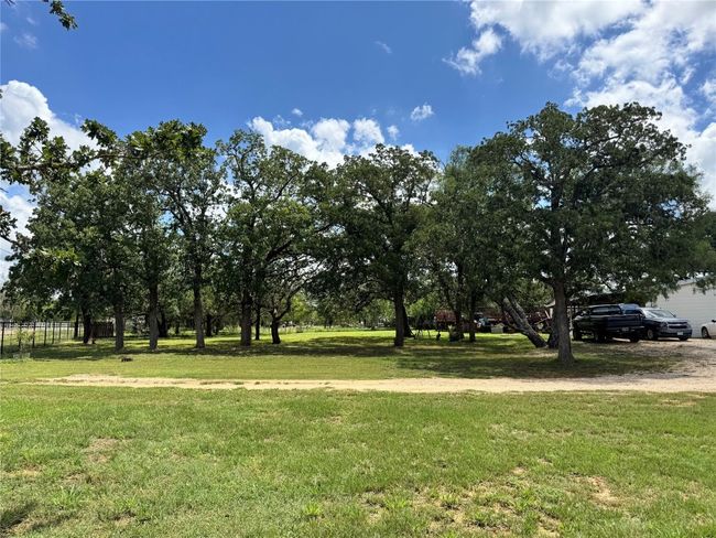 View of grassy yard | Image 5