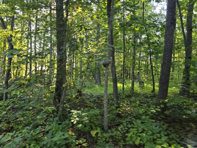 2185 Northcutts Cove Rd, House other with 1 bedrooms, 1 bathrooms and 4 parking in Beersheba Springs TN | Image 23
