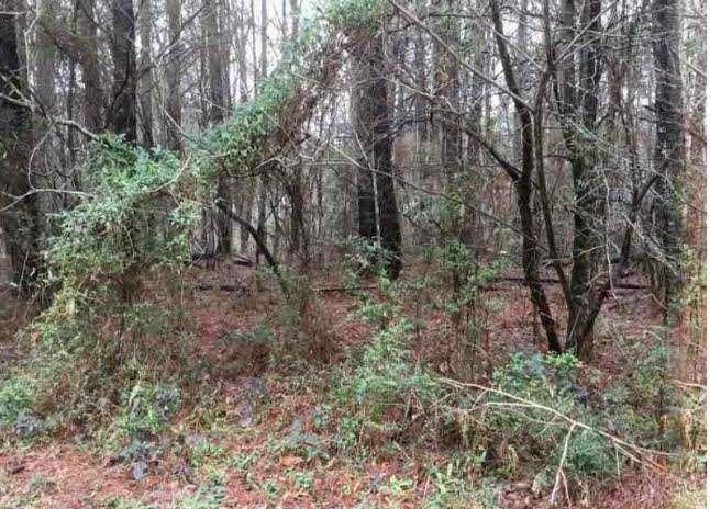 Land in Jonesboro 5