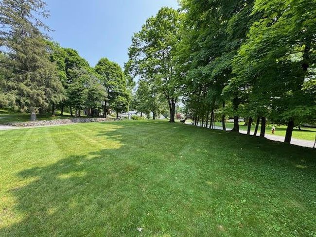 View of grassy yard | Image 38