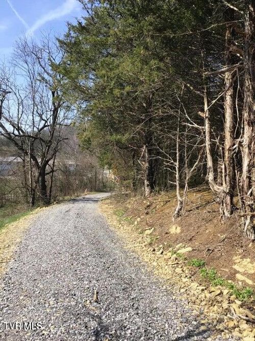 8.24 Ac Highway 11 E, Bulls Gap, TN, 37711 | Card Image