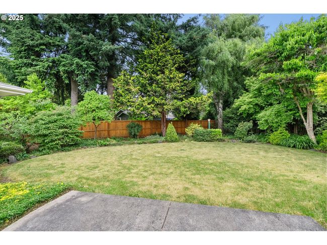 Backyard | Image 36