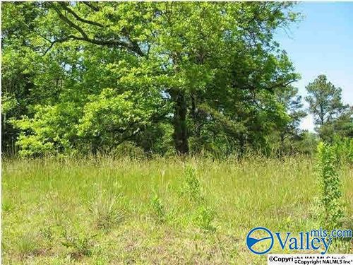 3 & 4 Mitchell Ave, Albertville, AL, 35951 | Card Image