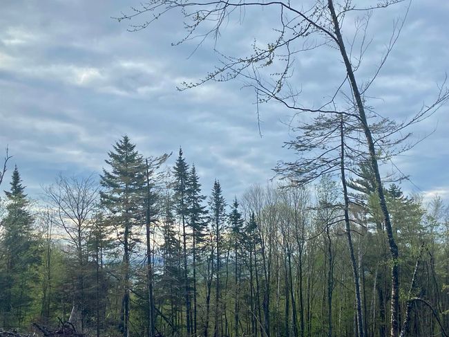 1180 Abbott Hill Rd, Home with 0 bedrooms, 0 bathrooms and null parking in West Burke VT | Image 31