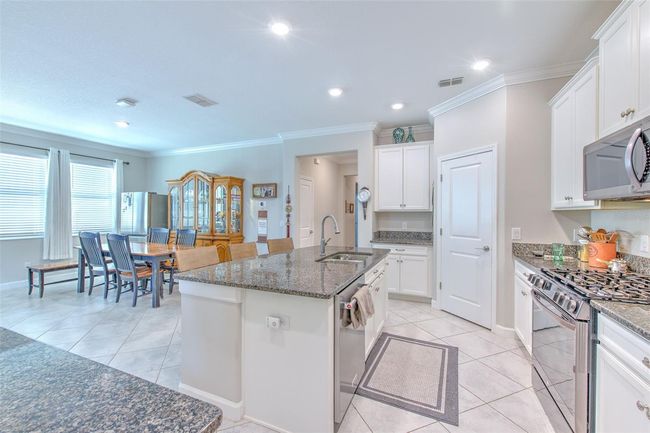25200 Lambrusco Loop, House other with 4 bedrooms, 3 bathrooms and null parking in LUTZ FL | Image 17