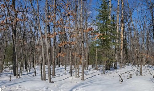 Lot 297 Nottingham Drive, Frederic, MI, 49733 | Card Image