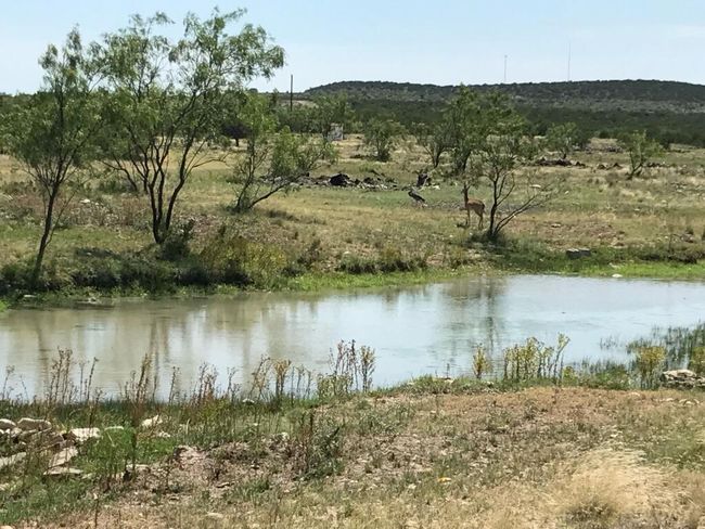 AB-363-AND-495 - 1500 Sales Rd, Home with 0 bedrooms, 0 bathrooms and null parking in Mertzon TX | Image 57