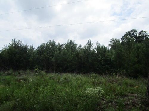 7905 Morris Bing Rd, Hollywood, SC, 29449-5922 | Card Image