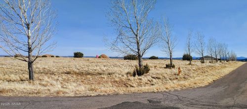 lot-96-1350 W Farmhouse Drive, Taylor, AZ, 85939 | Card Image