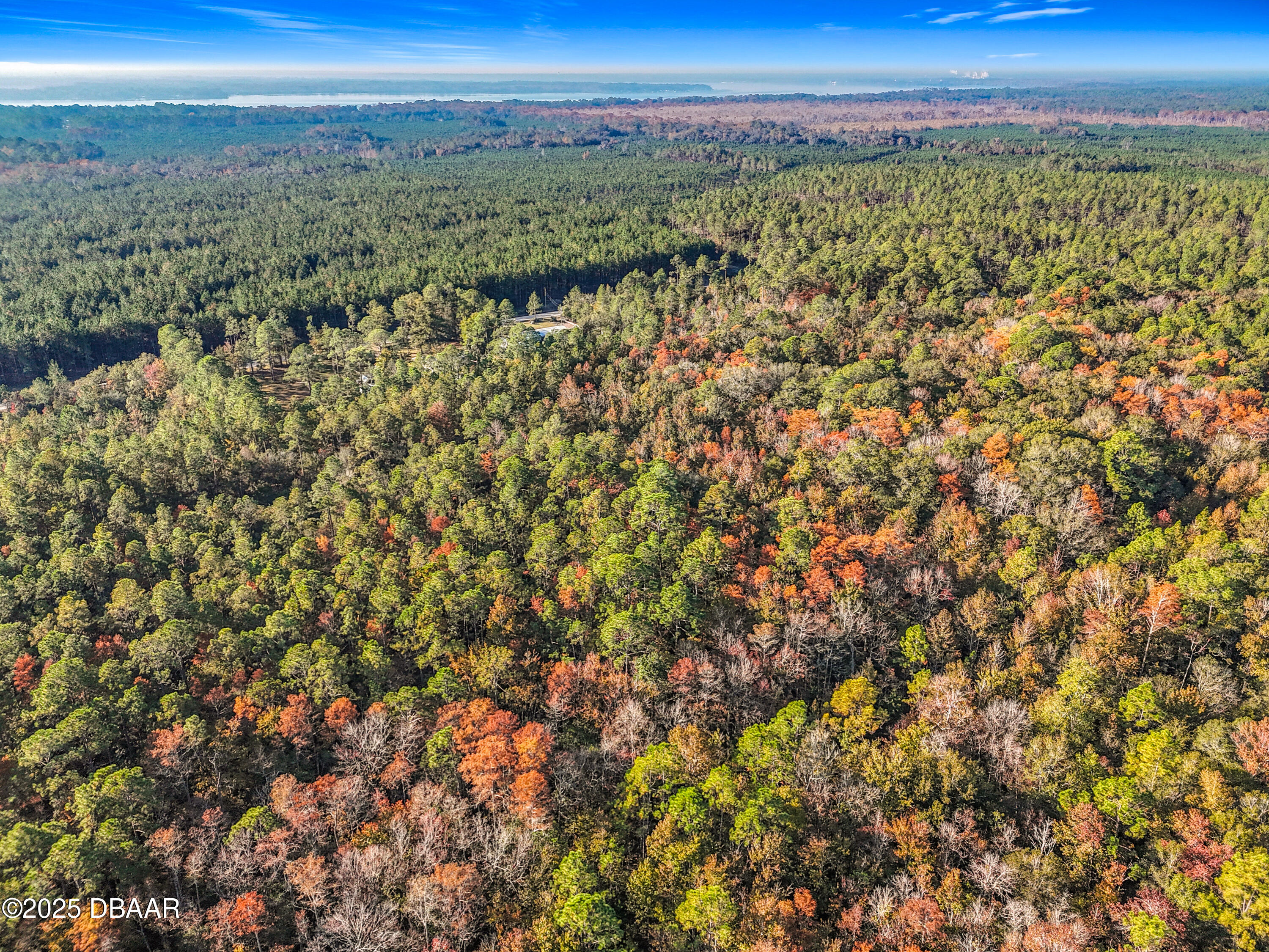 Land in Palatka 5