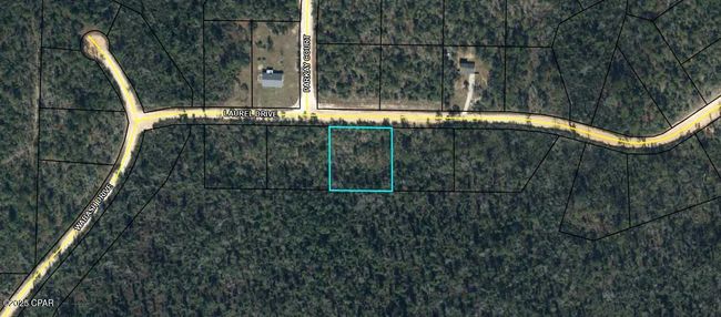 Lot 10 Laurel Dr, Home with 0 bedrooms, 0 bathrooms and null parking in Alford FL | Image 5