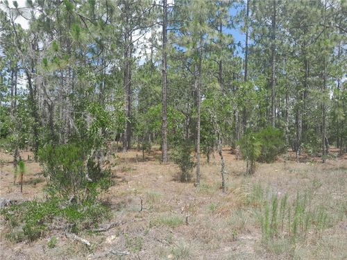 TBD Ne 149th Ct, WILLISTON, FL, 32696 | Card Image