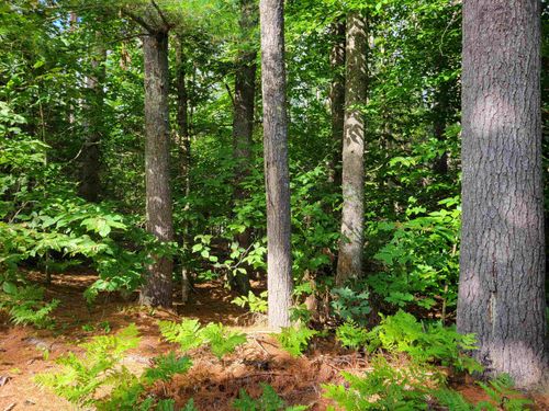 0 Haley Town Rd, Brownfield, ME, 04010 | Card Image