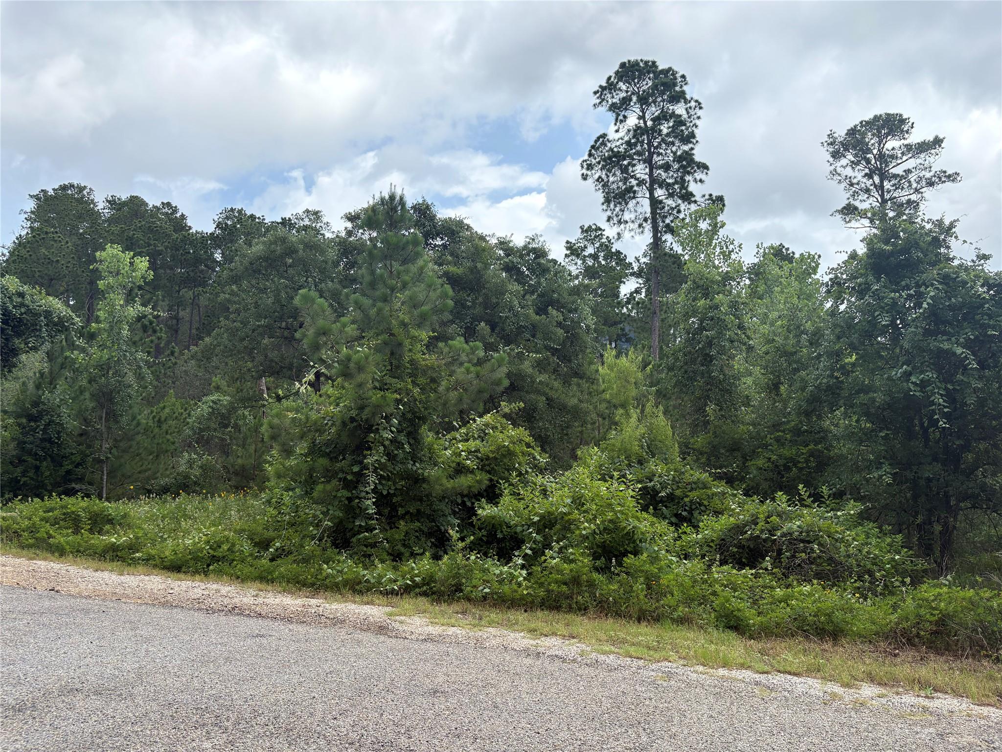 Land in Bastrop 2