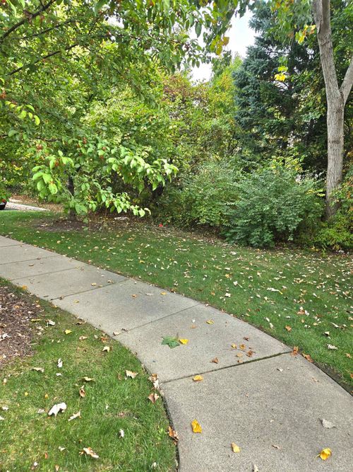 44272 Princeton Dr, Clinton Township, MI, 48038-1095 | Card Image