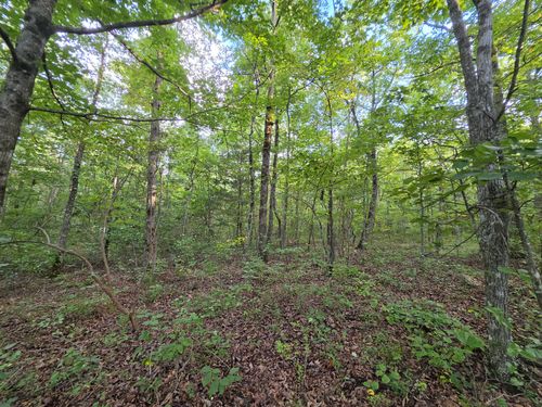 18 Meyers Rd, Altamont, TN, 37301 | Card Image