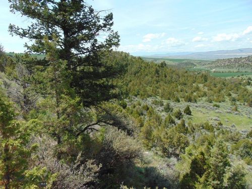 TBD Lone Wolf Trl, Three Forks, MT, 59752 | Card Image