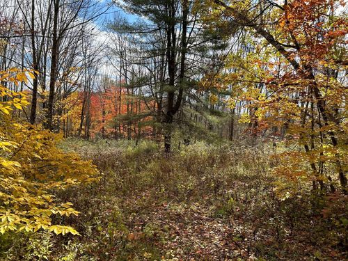 0 W Hill Rd, Austerlitz, NY, 12017 | Card Image