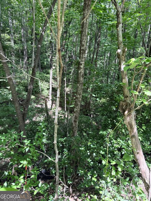 LOT 856 Larkspur Ln, Clayton, GA, 30525-5323 | Card Image