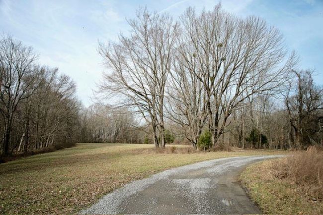 13300 Scottsville Rd, Home with 0 bedrooms, 0 bathrooms and null parking in Lucas KY | Image 10