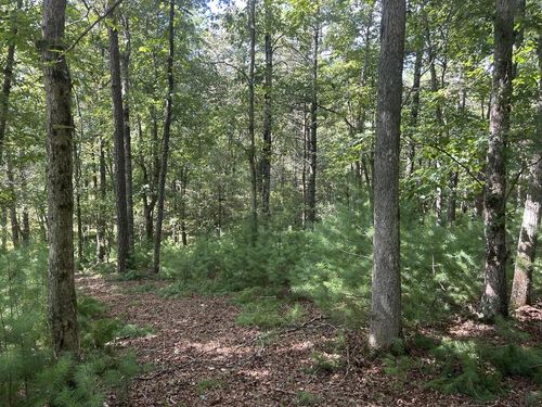 Lt 62 Harmony Way, Morganton, GA, 30560-1792 | Card Image