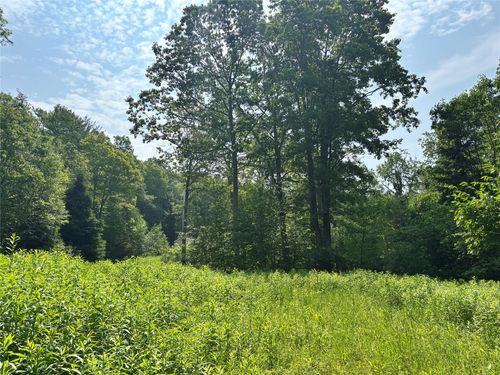 16 Indian Summer Rd, Deposit, NY, 13754-3047 | Card Image