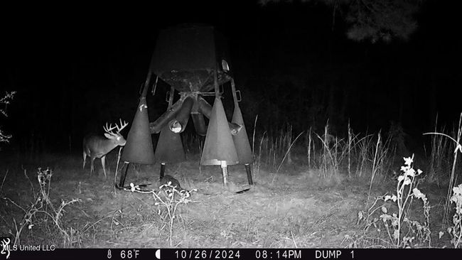 141496_80 | Image 31