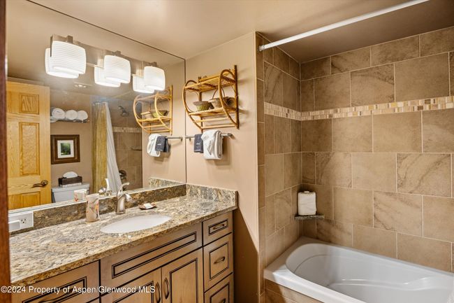 202 - 131 E Durant Ave, Condo with 2 bedrooms, 2 bathrooms and null parking in Aspen CO | Image 10