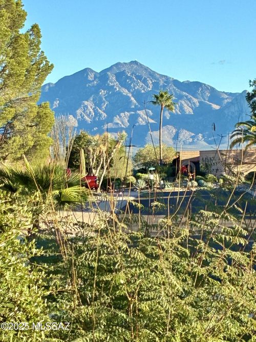 1571 W Calle De Plata, Green Valley, AZ, 85622 | Card Image