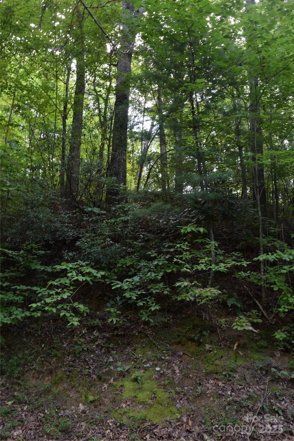 Land in Robbinsville 5