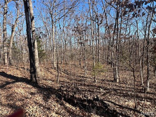 TBD Thong Tree Rd, Camdenton, MO, 65020 | Card Image