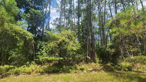 126 Helen Ave, Georgetown, FL, 32139 | Card Image