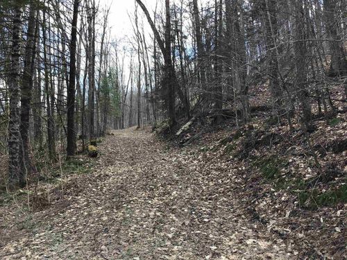 00 Williamstown Rd, Washington, VT, 05675 | Card Image