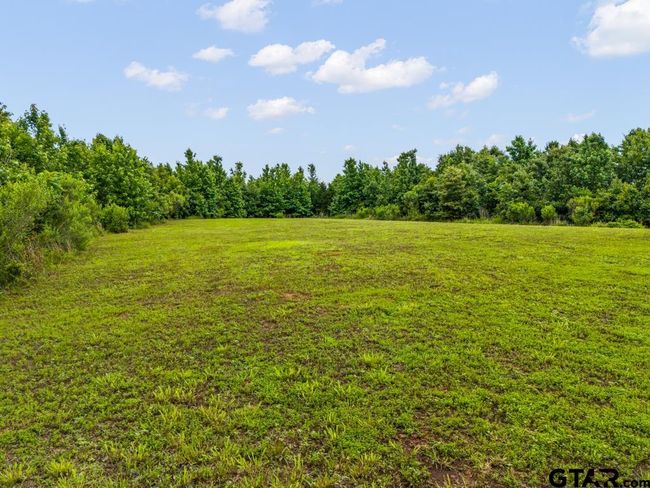 3536 &amp; TBD Cr 1579, Home with 4 bedrooms, 3 bathrooms and null parking in Avinger TX | Image 19